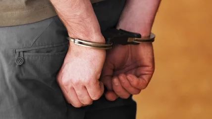 Canadian actor criminal case