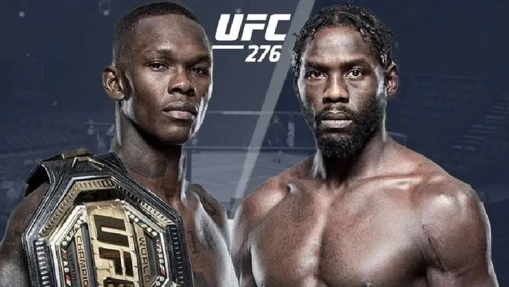 UFC 276